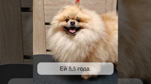 Активатор роста шести от ЗооЛаб