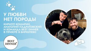 Кирилл Кошарин и Сибирский Конор посетили приют вместе с Best Dinner: как прошла акция