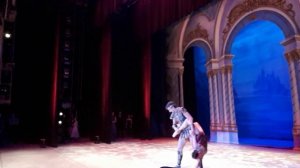 Адажио из балета Спартак