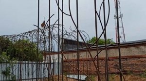 Обзор полуарки Ля Натурэль от QGARDEN. Опора для вьющихся