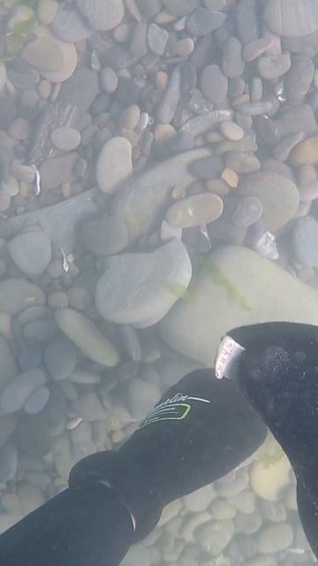 Подводный поиск с Minelab Excalibur 2. Находка с охраной #shorts смотреть онлайн