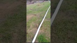 ОТКАЧКА СЕПТИКА‼️Мотопомпа A i power 14 л/с#помпаюг#мотоп?