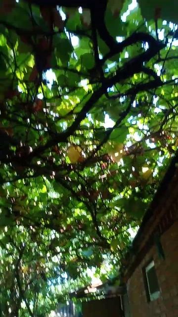 ну хоть это есть! смотреть онлайн