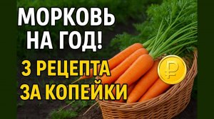 Урожай Моркови на Весь Год — 3 рецепта за копейки