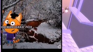 РЕАКЦИЯ НА ТРЁХ КОТОВ ИЗ ЛАЙКА?! На трёх котов напал МО