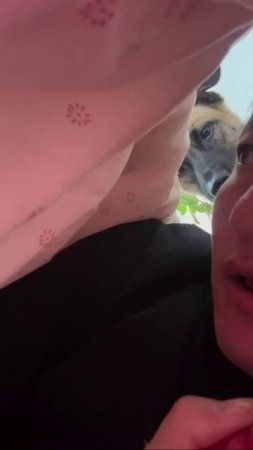 Что тут у нас?