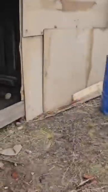 Вот так начали строить сарай для скатины смотреть онлайн