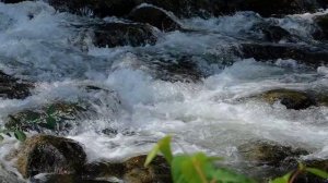 Жизненный поток 15