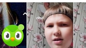 учусь у дуолинго
