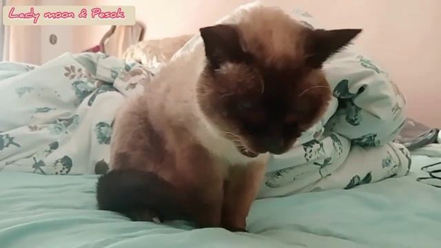 что если в семье один развивается духовно а второй нет смотреть онлайн