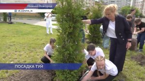90 туй украсили сквер имени Луначарского в Ленинском районе, который в этом году отмечает 90-летие
