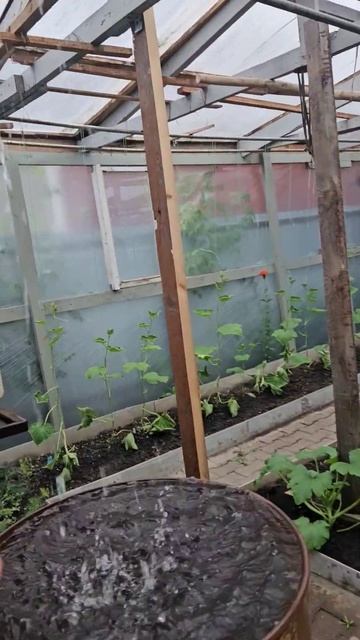 водосточка сразу в теплицу смотреть онлайн