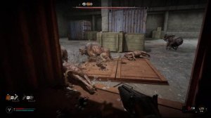 КАК ПОБЕДИТЬ СОБАК НА АРЕНЕ? // S.T.A.L.K.E.R. 2