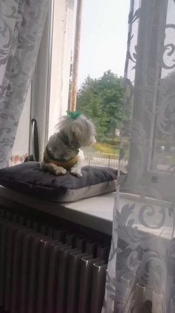 Солнечные ванны для Милуши
