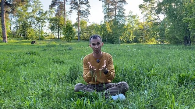 Как открыть глэмпинг с нуля