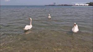 Анапа Центральный пляж сегодня 5 июня 2025. Люди плавают, сезон открыт? Погода и море в Анапе сейчас