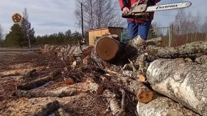 Бензиновая пила Ставр. Настройка.