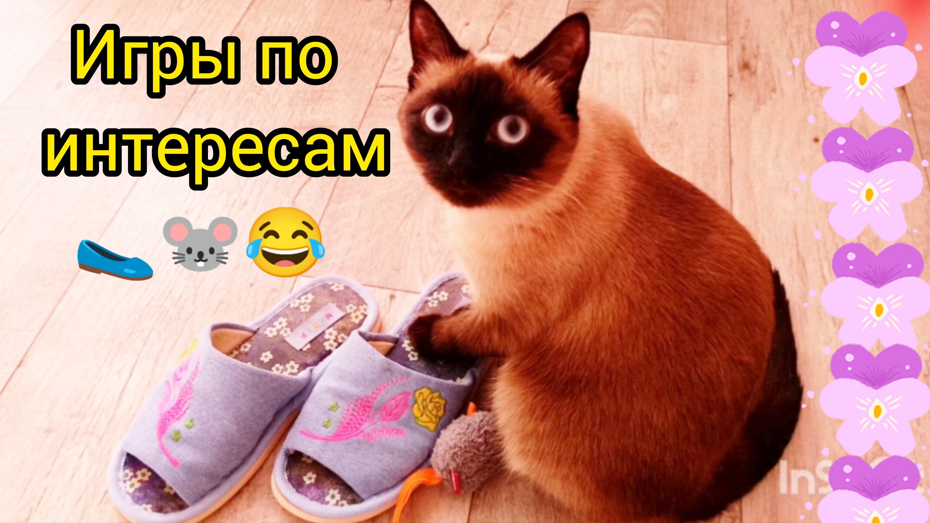 Кошка🐱Ладушка😂разыгралась‼️#смешныекоты #красивая кошка #прикольное видео #приколыоткота #котики