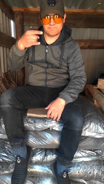 Выбираем грунт для рассады #дача #дом #сад #огород #сель смотреть онлайн