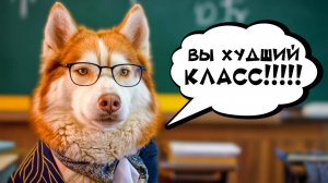 НАС ОСТАВИЛИ НА ВТОРОЙ ГОД!! ЕСЛИ БЫ ПЁСИКИ ХОДИЛИ В ШКОЛУ