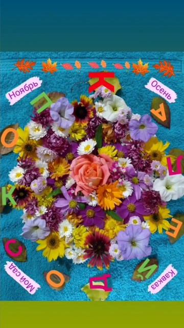 🌸✨🌺✨🌹 Цветы. Осень. Калейдоскоп. смотреть онлайн