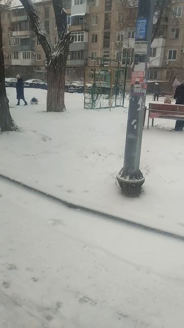 Редкий снег в Волгограде смотреть онлайн