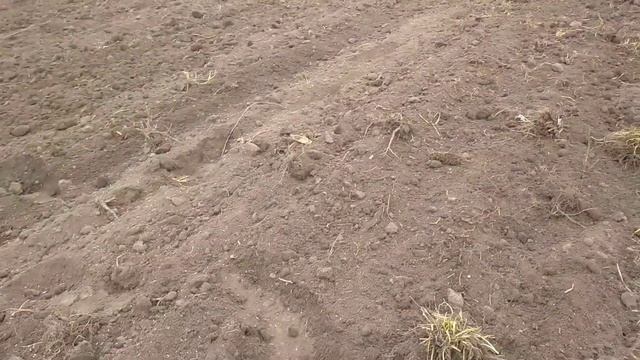 Культивація і посів люцерки і різнотрав'я ручною міні смотреть онлайн