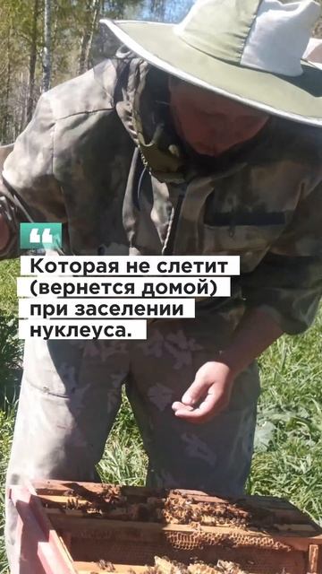 Мед есть на wb поиск "пасека Эллерт" смотреть онлайн