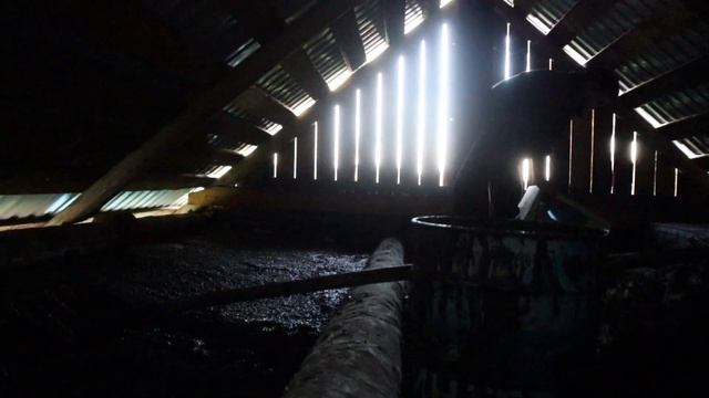 VLOG 11.08.24г. Измельчитель в деле. Теплица. Глину - на баню.? смотреть онлайн