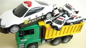 Куча полицейских машин врезалась в мусоровоз, Крутая парковка