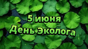 5 июня - День Эколога. ПВУ с рекуперацией тепла.