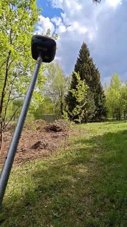 Топосъемка подеревка. На шикарном участке