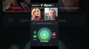 Видеочат у Ирэн знаменитый исследователь Станислав Евдокимов. Обсуждение экспертиз
