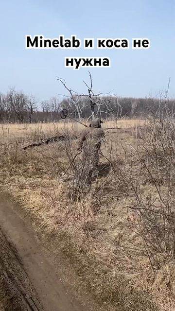 Секреты Minelab: об этом умалчивает производитель