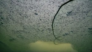 Подводный дрон Chasing DORY на карьере для платной рыбалки