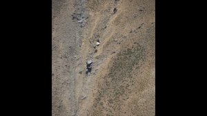 Переговоры пилотов  самолёта перед крушением. Negotiations p