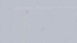 Madden NFL 26 - Official Reveal Trailer