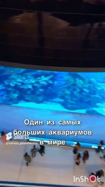 Дубай Молл. Что посмотреть. #дубаймолл #дубай2023 #развле смотреть онлайн