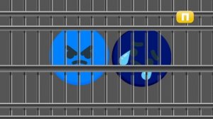 Фрагмент эфира (Теле-Пээ 01.06.2025)