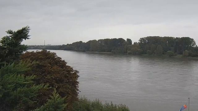 Почему свеклу важно добавить в рацион каждого человек смотреть онлайн