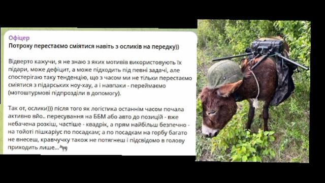 У русских надо учиться: в ВСУ перестали смеяться над нашими "боевыми осликами"...