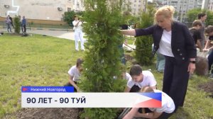 Сквер имени Луначарского в Ленинском районе украсили 90 туй