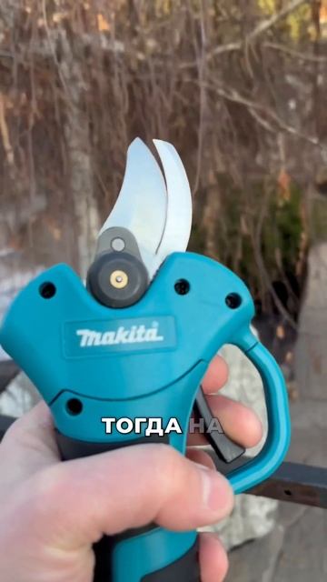 #обрезкадеревьев #обрезкасада #сад #садоводство #обрез смотреть онлайн