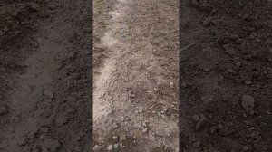 Сделал себе крыльцо из поддонов у себя на доме