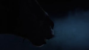 Хищник: Дожить до рассвета - 2025 (06)