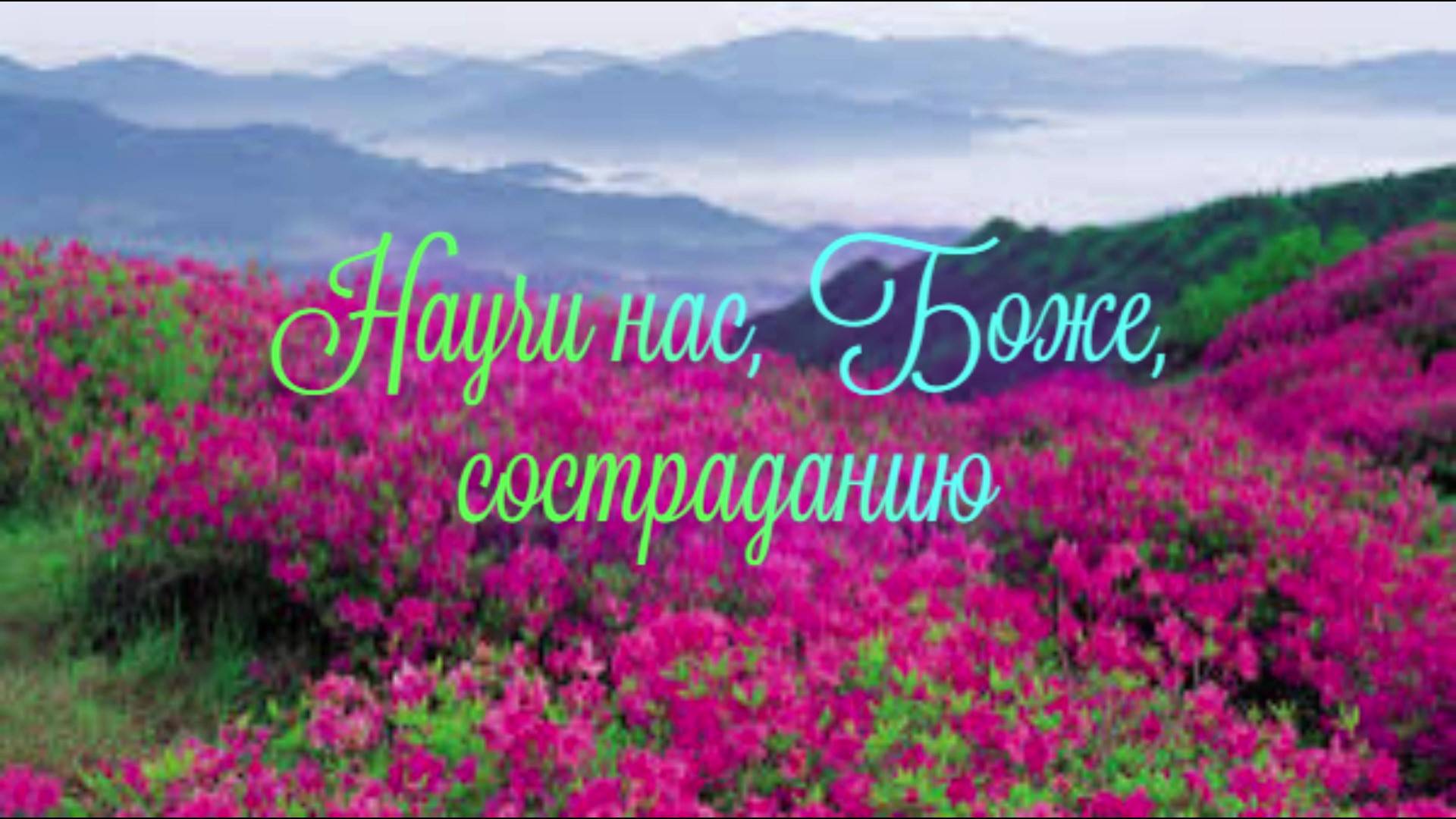 Научи нас, Боже, состраданию