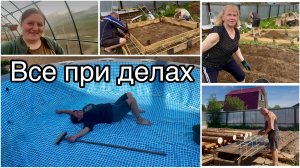 Приготовили опалубку под баню. Поставили бассейн. Посадили картошку и капусту. Прибрались в теплице