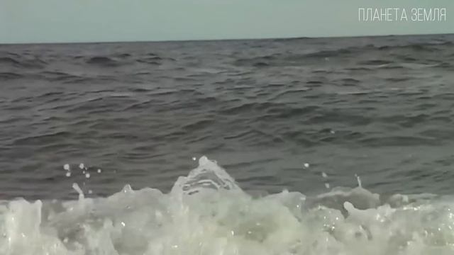Балтийское море Самое молодое и несоленое море на планете  Интересные факты про Балтийское море