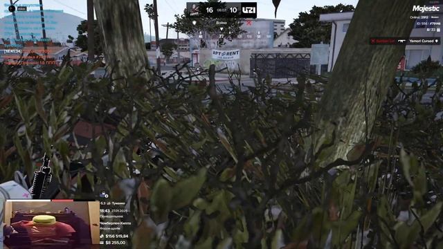 НАСТРЕЛ ПО СЕМЬЕ CURSED / НОВАЯ МАСКИРОВКА НА ПРОЕКТЕ Majesti смотреть онлайн