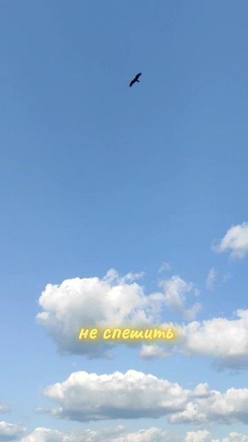 ИЮНЬ КАК ПЯТНИЦА СРЕДИ МЕСЯЦЕВ.